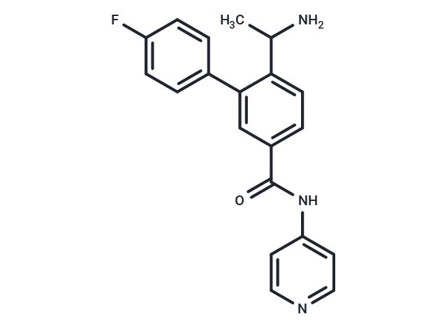 ROCK抑制剂1|T13419|TargetMol