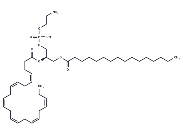 化合物 1-Palmitoyl-2-Docosahexaenoyl-sn-glycero-3-PE|T84990|TargetMol