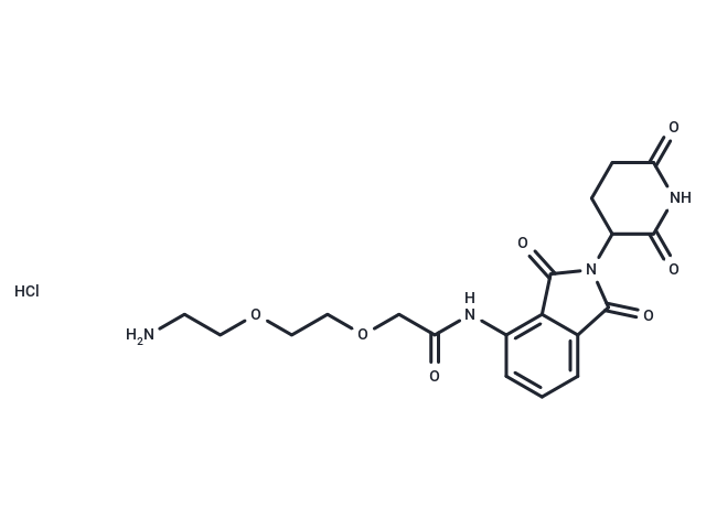 化合物Pomalidomide-PEG2-NH2 hydrochloride|T40015|TargetMol