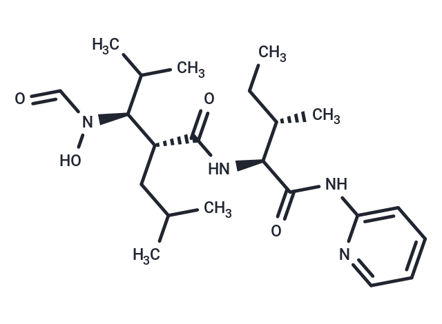 化合物 GW-3333|T27507|TargetMol