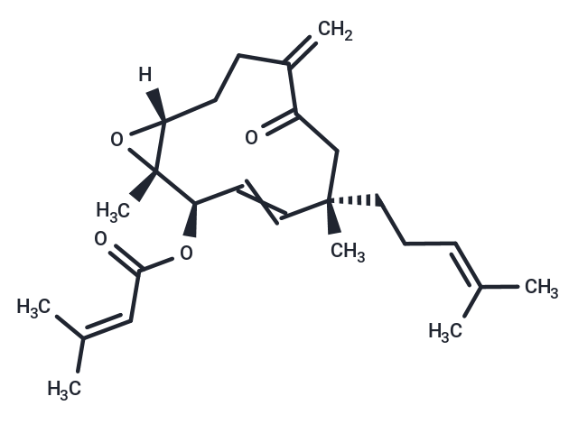 化合物 HSP90-IN-12|T61938|TargetMol