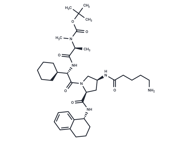 Boc-A 410099.1 amide-alkylC4-amine|T40053|TargetMol