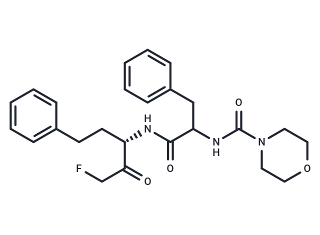 化合物 P 34081|T33852|TargetMol