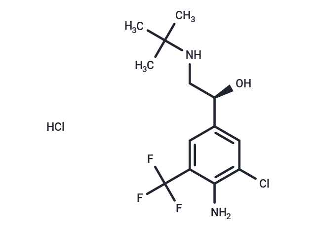 化合物 D-Mabuterol hydrochloride|T68242|TargetMol