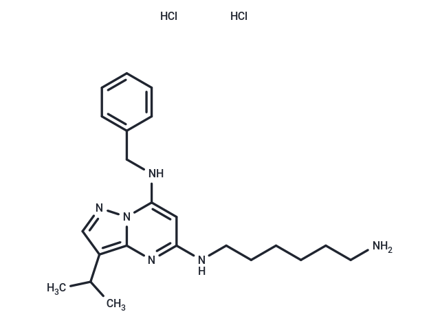 化合物 BS-181 dihydrochloride|T62774|TargetMol