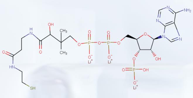 辅酶A三锂盐 