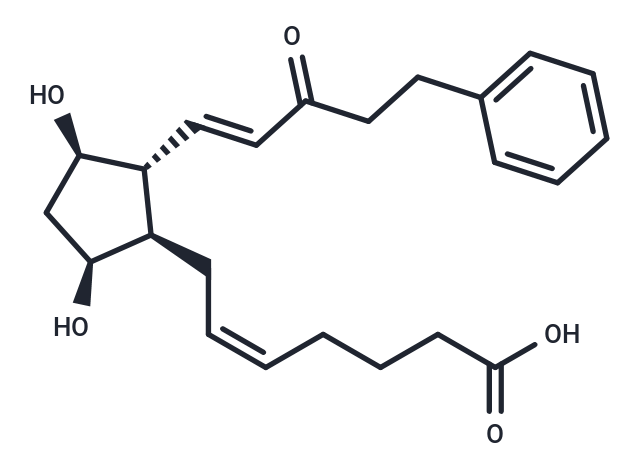 15-keto-17-phenyl trinor Prostaglandin F2α|T37934|TargetMol