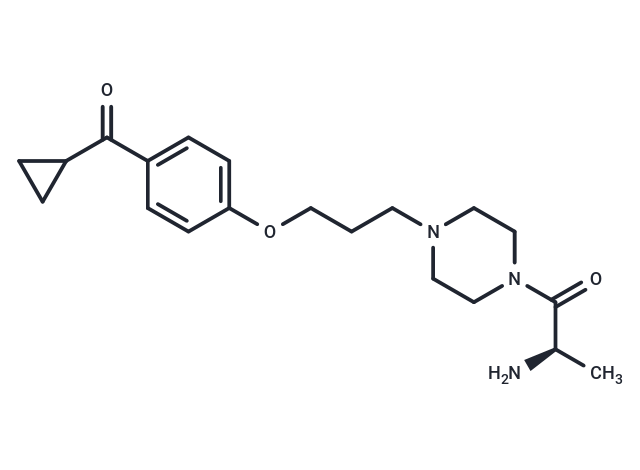 化合物 A-304121|T29508|TargetMol
