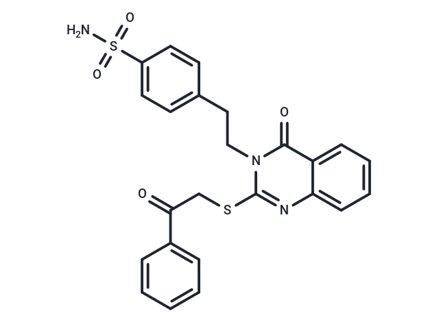 化合物 EGFR/HER2/CDK9-IN-3|T63161|TargetMol