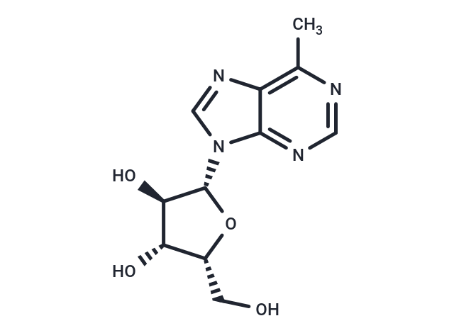 化合物 6-Methyl-9-(beta-D-xylofuranosyl)purine|TNU0483|TargetMol