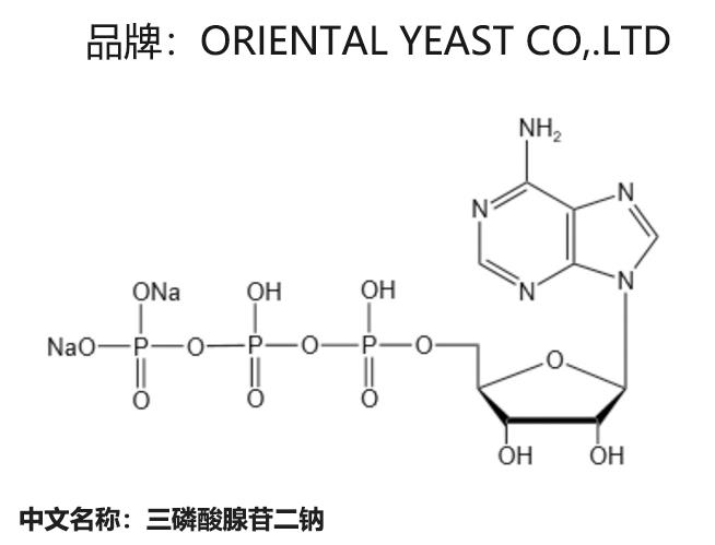 腺苷三磷酸 ATP-II