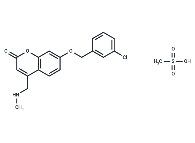 化合物 NW-1772|T24565|TargetMol
