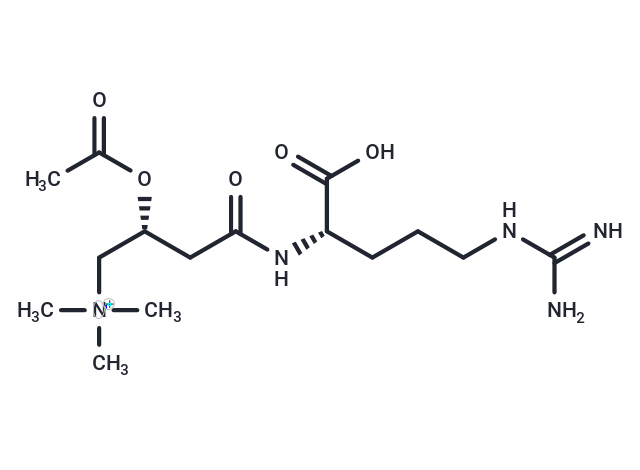 化合物 Acetylcarnitine arginyl amide|T29598|TargetMol