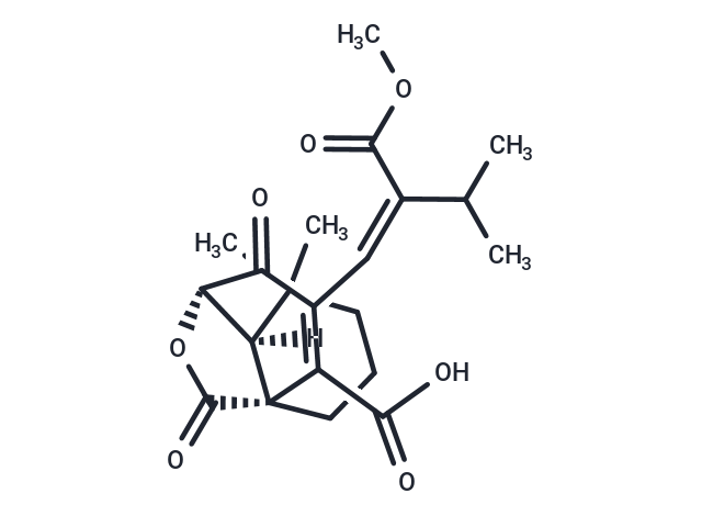 化合物 Rosmic acid|T125434|TargetMol