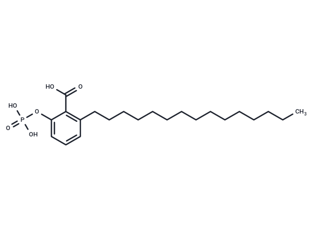 化合物 Ginkgolic acid 2-phosphate|T85072|TargetMol