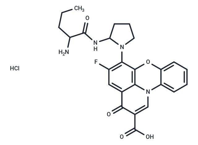 化合物 A 74932|T26441|TargetMol