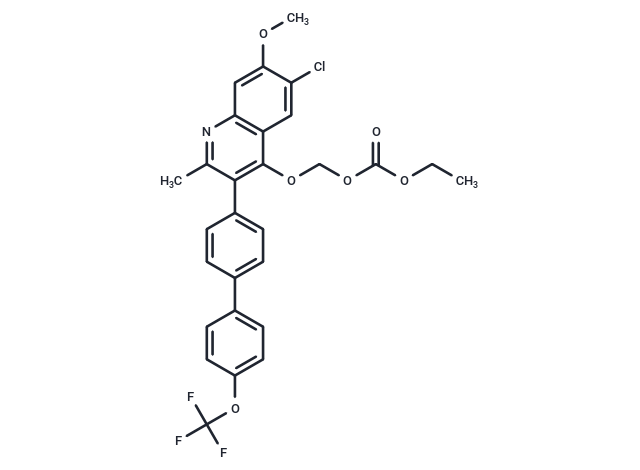 化合物 ELQ-598|T86364|TargetMol