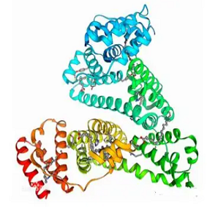 Abietic Acid-BSA Conjugate，松香酸-牛血清白蛋白偶联物