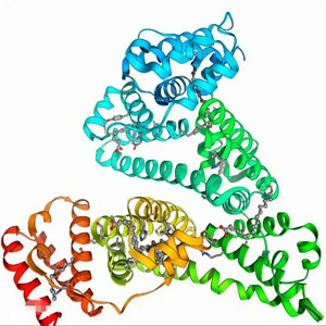 Vanillic Acid-BSA Conjugate，香草酸-牛血清白蛋白偶联物