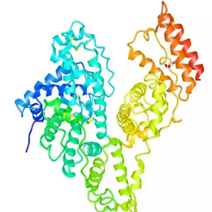 Wogonoside-BSA Conjugate，汉黄芩苷-牛血清白蛋白偶联物