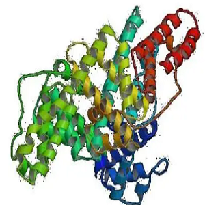 Vanillylnonanamide-OVA Conjugate，辣椒素-鸡卵清白蛋白偶联物