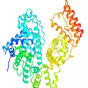 Rutin-BSA Conjugate，芦丁-牛血清白蛋白偶联物