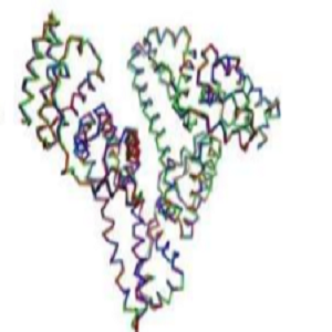 LA-OVA，Liquidambaric Acid-OVA Conjugate，路路通酸-鸡卵清白蛋白偶联物
