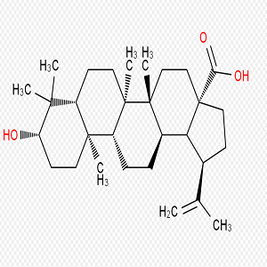 BA-HRP，Betulinic Acid-HRP，桦木酸-过氧化物酶标记物