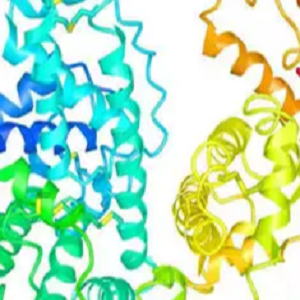 BA-BSA，Betulinic Acid-BSA Conjugate，桦木酸-牛血清白蛋白偶联物