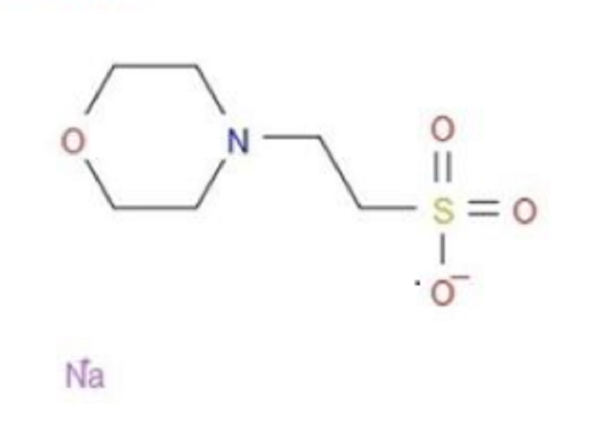 2-吗啉乙磺酸钠