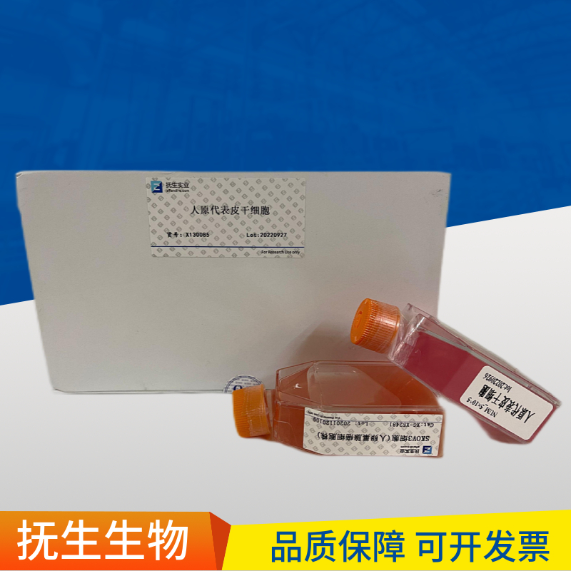 NCI-H226人肺鳞癌细胞