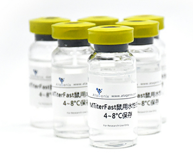 重组美国室尘螨Der f 1/DERF1蛋白（C端组氨酸标签）