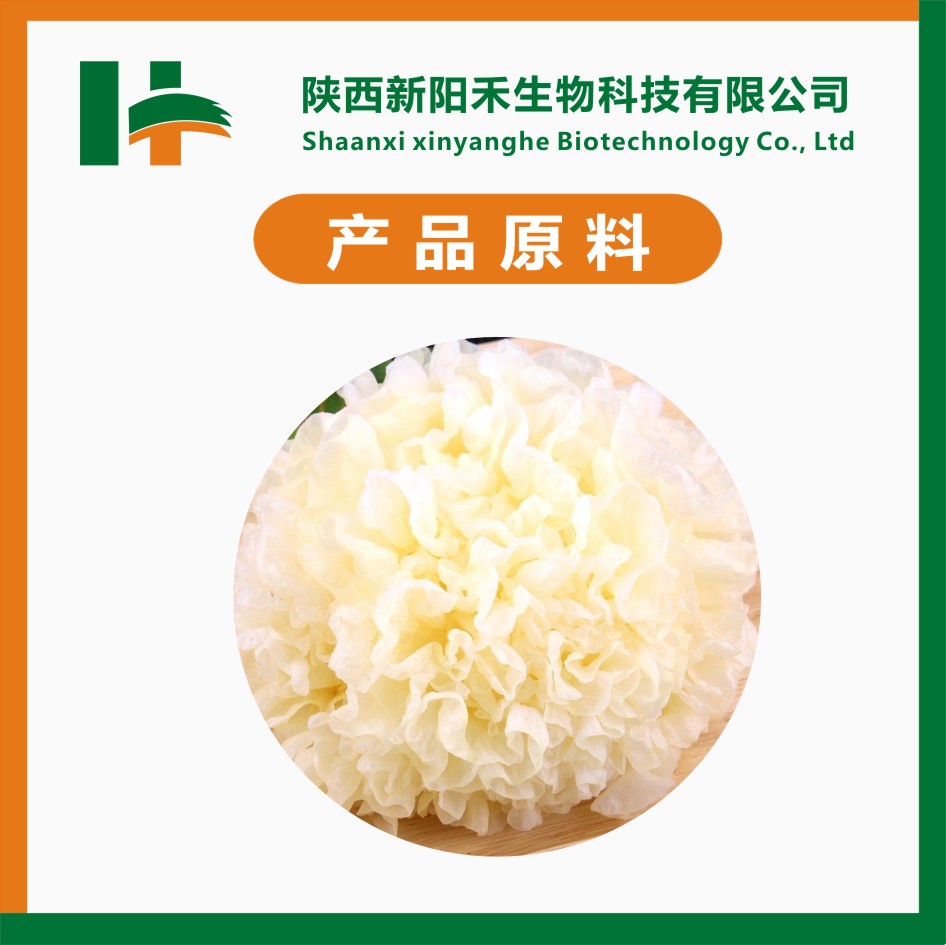 银耳提取物 银耳粉