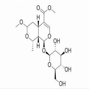 7-β-O-甲基莫诺苷，7-β-O-Methyl morroniside，119943-46-3