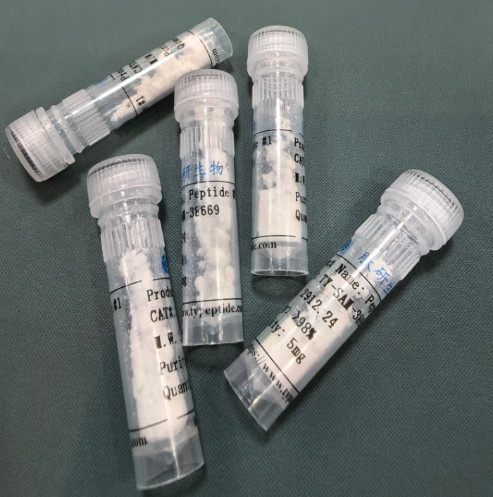 靶向肽K-G-D-S/93674-95-4/K-G-D-S