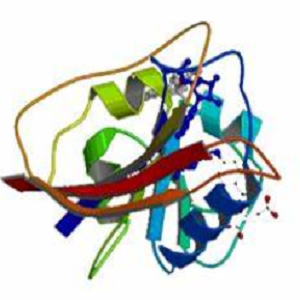 Aescin-BSA Conjugate，七叶皂苷-牛血清白蛋白偶联物