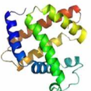 Resveratrol-OVA Conjugate，白藜芦醇-鸡卵清白蛋白偶联物