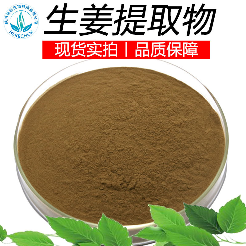 生姜提取物生姜提取物30:1 固体饮料原料 生姜粉 干姜提取物