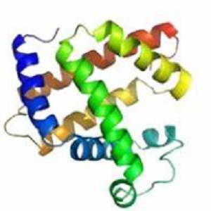 Neogambogic Acid-OVA Conjugate，新藤黄酸-鸡卵清白蛋白偶联物