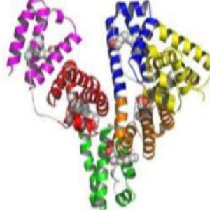 Gambogic Acid-OVA Conjugate，藤黄酸-鸡卵清白蛋白偶联物，GA-OVA