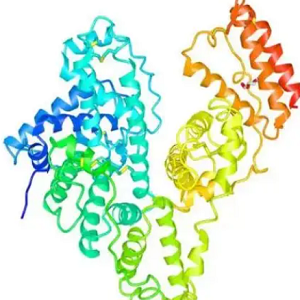 BSA-Gambogic Acid，藤黄酸-牛血清白蛋白偶联物，GA-BSA