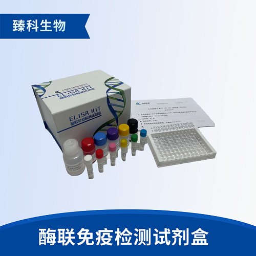 人内皮素1(ET-1）检测试剂盒（ELISA法）
