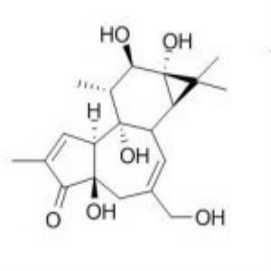 佛波醇 ，Phorbol，17673-25-5