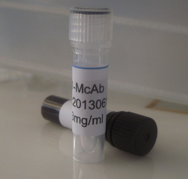 鼠抗小反刍兽疫（羊瘟）单克隆抗体