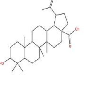Epibetulinic Acid-HRP，表白桦脂酸-过氧化物酶标记物