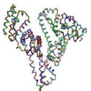 Epibetulinic Acid-OVA Conjugate，表白桦脂酸-鸡卵清白蛋白偶联物