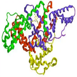 Theophylline-7-acetic Acid-OVA Conjugate，乙酸茶碱-鸡卵清白蛋白偶联物