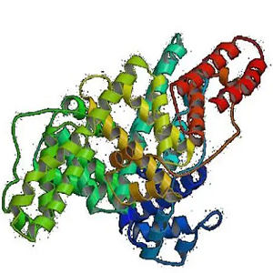 Theophylline-7-acetic Acid-BSA Conjugate，乙酸茶碱-牛血清白蛋白偶联物