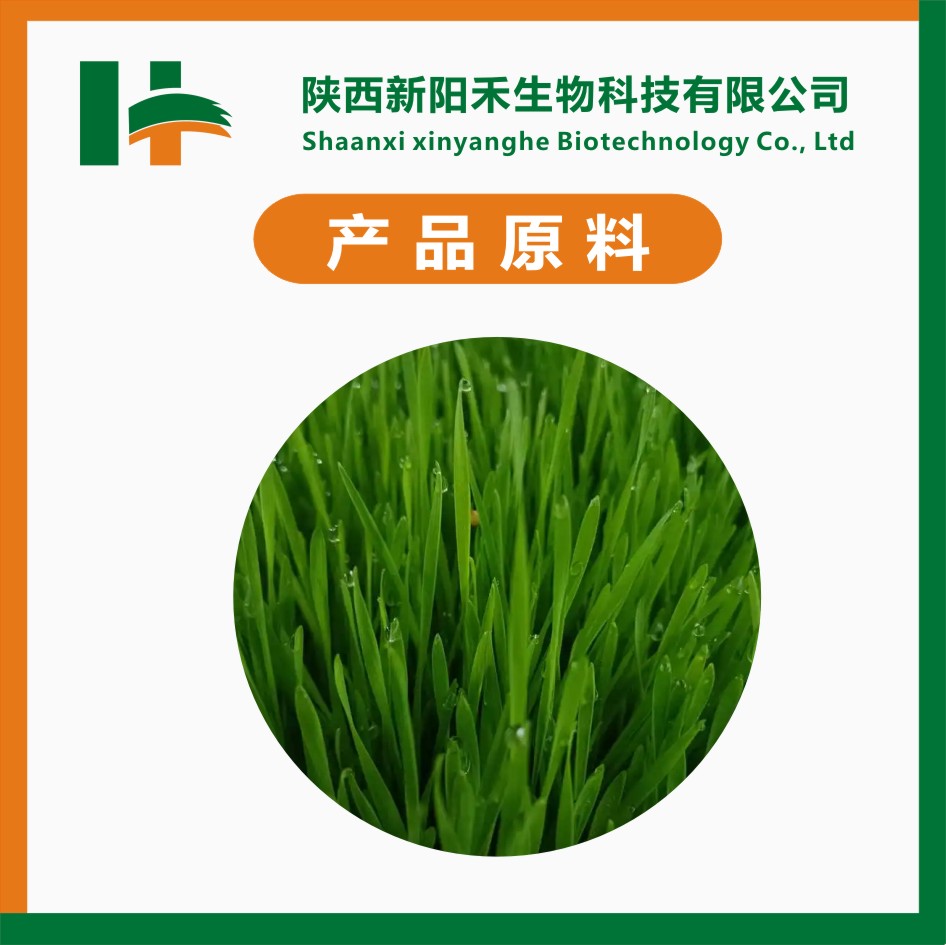大麦苗粉/小麦苗粉/麦苗粉/大麦若叶粉