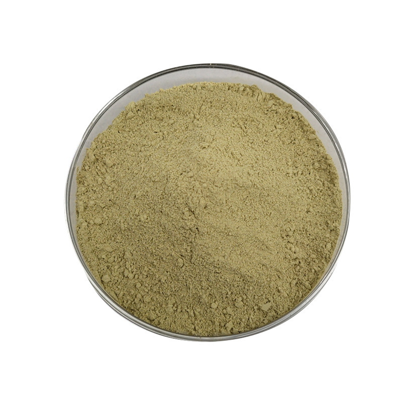 木犀草素木犀草素98%木樨草素提取物 花生壳提取物 100g/袋491-70